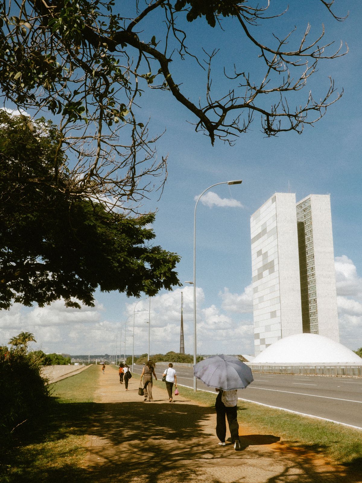 Edição #2 — Ano Novo, Cidade Nova
