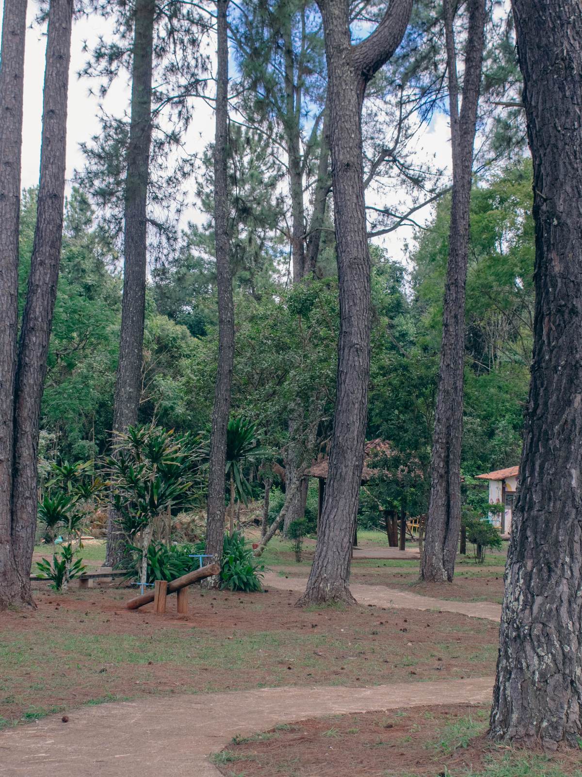 Edição #8 — A Cidade Respira
