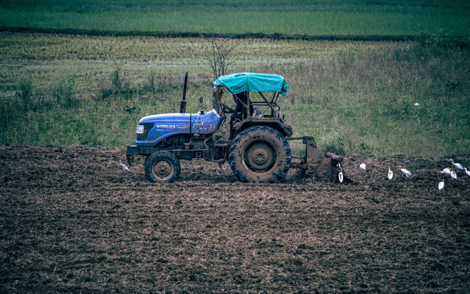 Colheita de soja começa mais cedo no Mato Grosso em meio a temores de nova quebra de preços